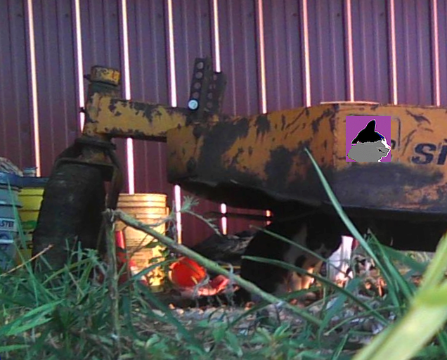 cat under farm equipment