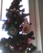 christmas tree with kitty ornaments