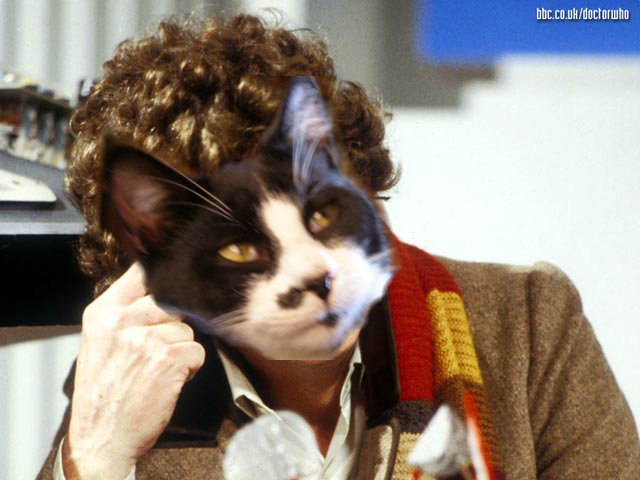 Tuxedo cat as 4th doctor