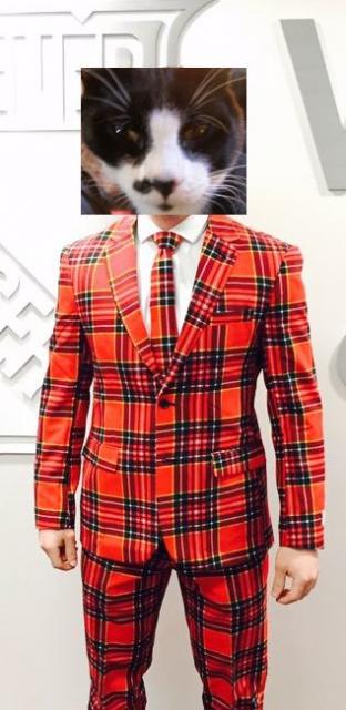 cat in ugly plaid suit and tie