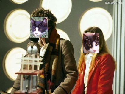 tuxedo cats as 4th doctor and 2nd romanadvoratrelundar