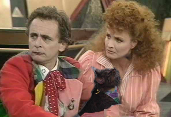 7th doctor mel and a lap cat