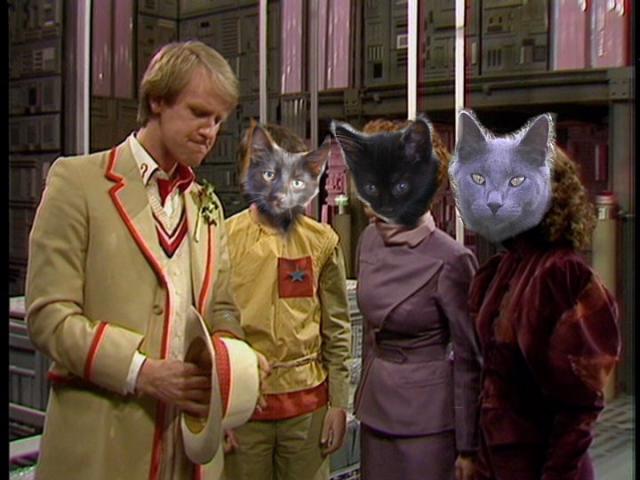 cats as companions of 5th doctor