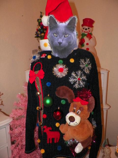 cat in ugly dog Christmas sweater