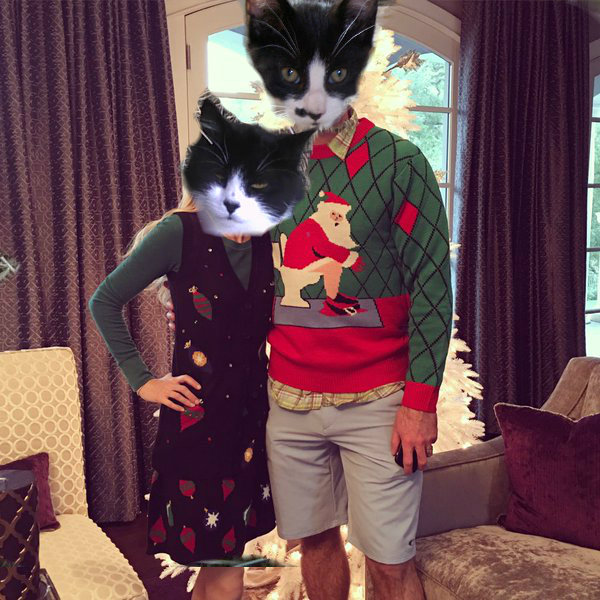 two cats in ugly Christmas sweaters