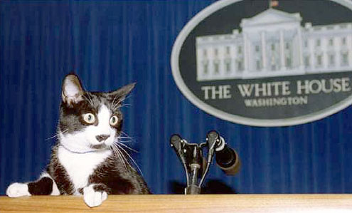 Socks at the podium, Clinton White House