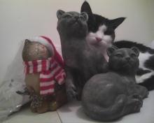 cat with cat sculptures
