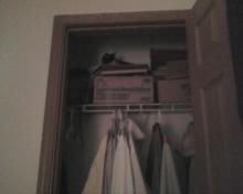 cat on boxes on closet shelf
