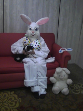 black and white cat with the Easter Bunny