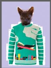 cat in ugly airplane sweater
