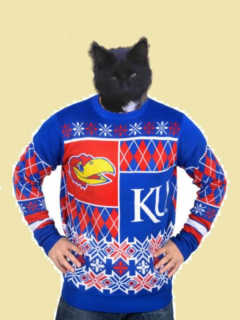 cat in ugly Kansas sweater